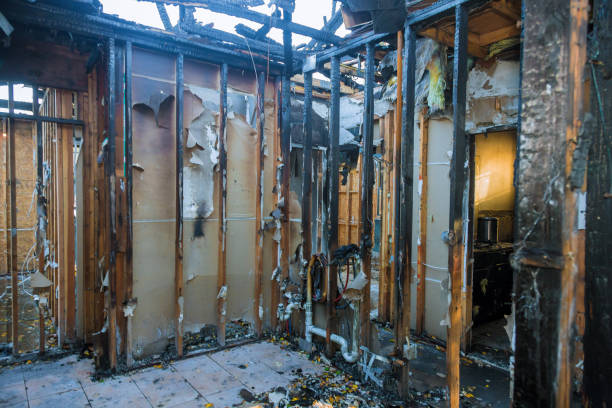 Professional Fire Damage Restoration technician working in Lincoln Park, CO